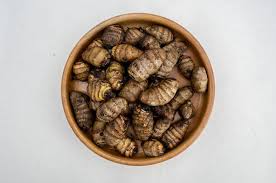 মুখীকচু উৎপাদনের উন্নত কলাকৌশল