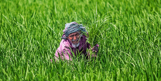 মন্ডলপাড়া কৃষক সংগঠন